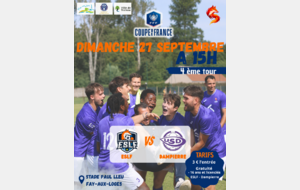 Coupe de France