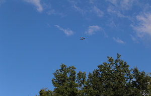 5b6cb90695fc9_IMG3568.JPG