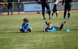 5bc398553b522_DSC01050.JPG