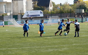 5bc3985ed95e8_DSC01051.JPG