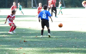 5bc3bde7d5458_P1230594.JPG