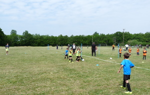 5ce9b288c3916_P1250064.JPG