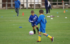 5d8f3ed11e4c3_DSC03499.JPG