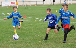 5d8f3ed6db791_DSC03501.JPG