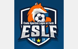 Match amical Pithiviers-ESLF U15 feminine